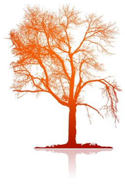 Detailed Tree clipart