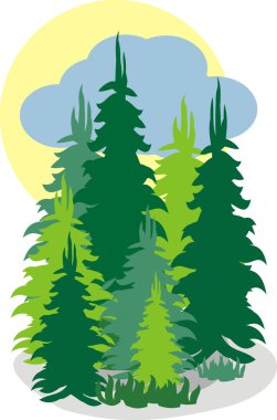 Fir forest clipart