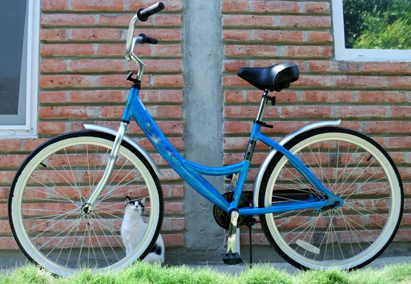 Bicicleta feminina — Fotografia de Stock