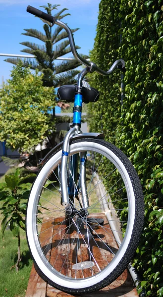 จักรยานหญิง — ภาพถ่ายสต็อก