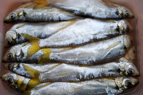 La pelada de pescado salado —  Fotos de Stock