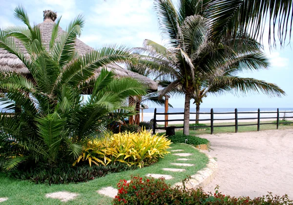 Tropisk trädgård på stranden Royaltyfria Stockbilder