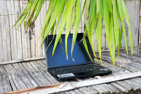 stock image Laptop