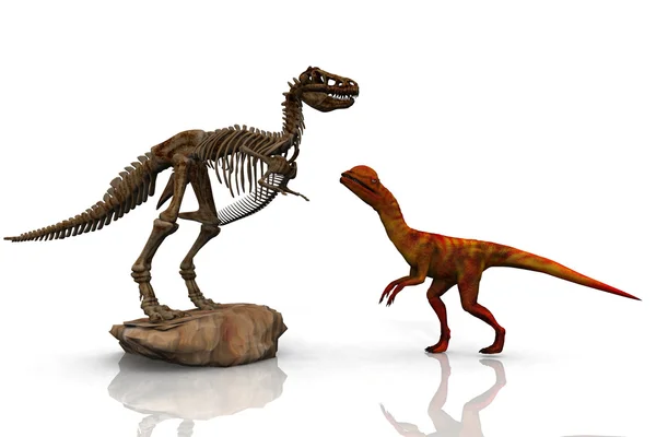 Dinosauři — Stock fotografie