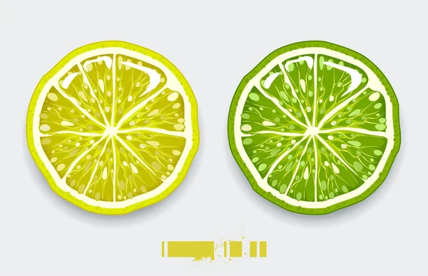 stock vector Cut lemon