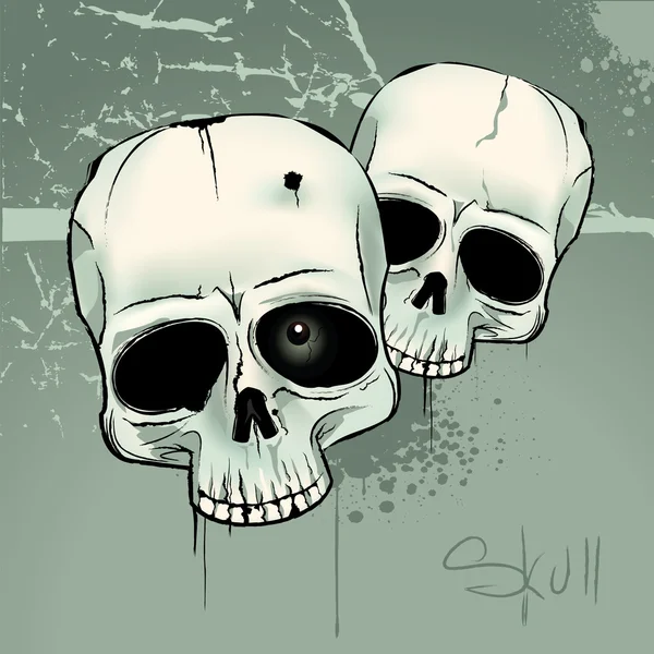 Crânes — Image vectorielle