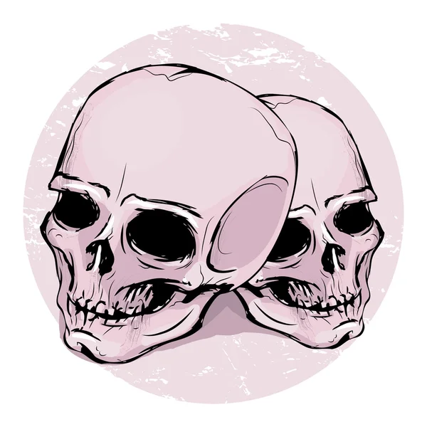 Два черепа — стоковый вектор