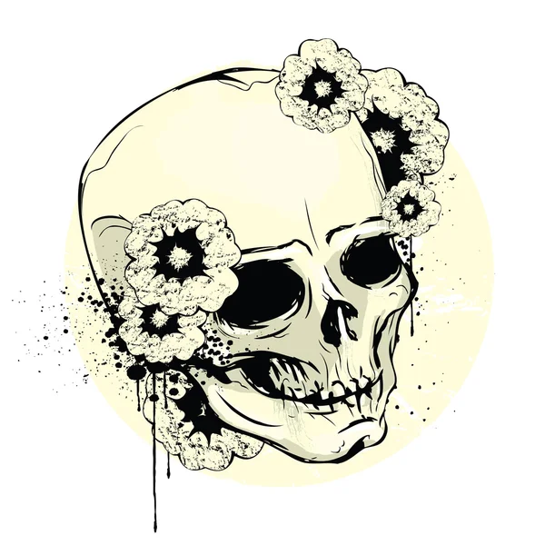 El cráneo — Vector de stock
