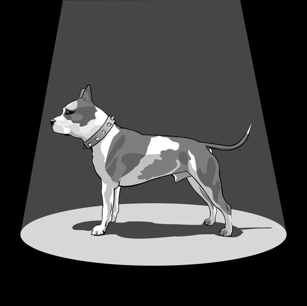 Pes — Stockový vektor