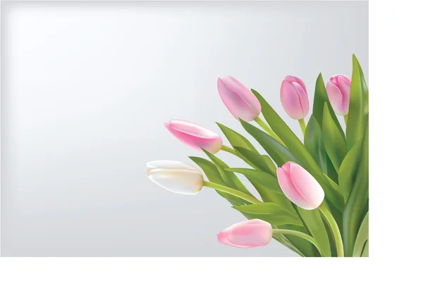 Tulipany Ilustracje Stockowe bez tantiem