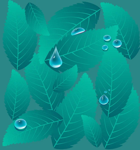 stock vector Drops on a leaves