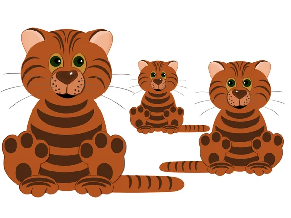 Três tigres — Fotografia de Stock