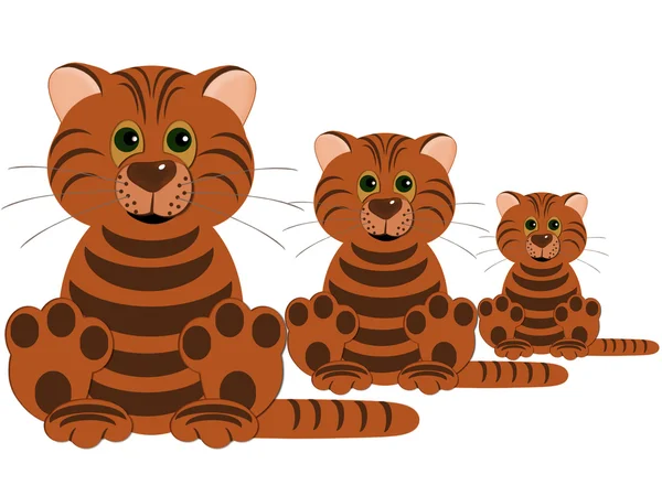 Tři tygři — Stock fotografie