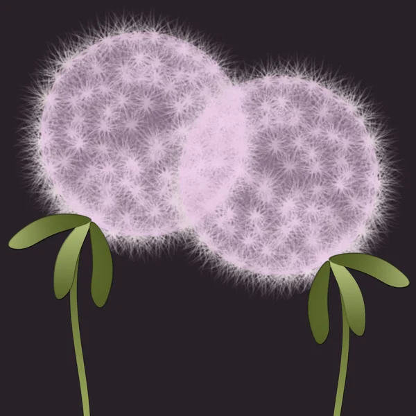Two abstract dandelions — Stock Photo, Image