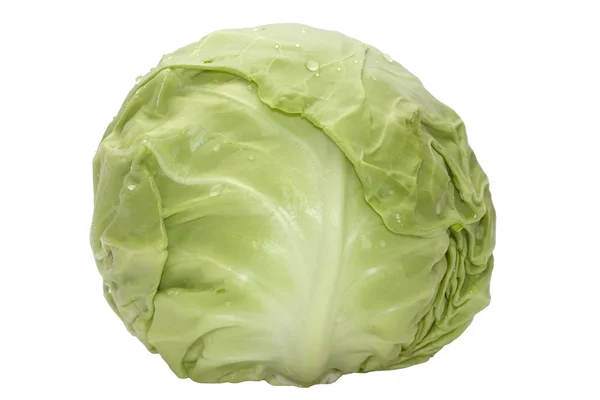 Green cabbage isolated on white backgrou — Stock Photo, Image