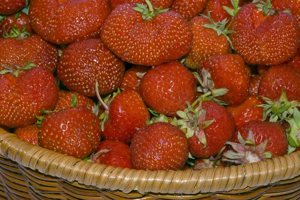 Basket with a red strawberry — Stock Photo, Image