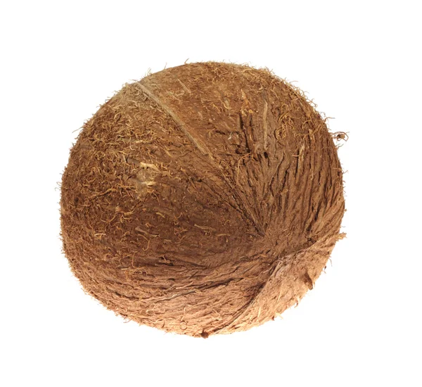 stock image Closeup of coconut