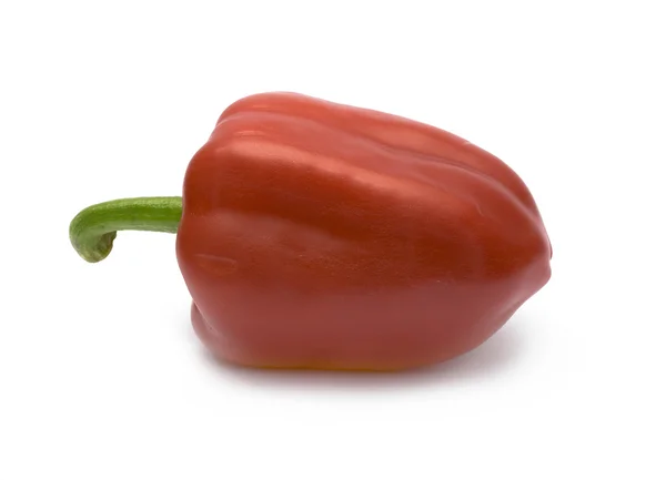 Red paprika on white background — Stock Photo, Image