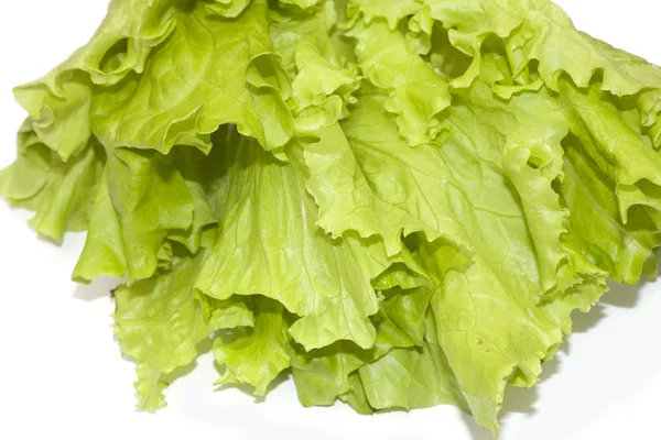 Salada verde sobre fundo branco — Fotografia de Stock