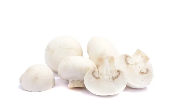 Stock image White mushrooms over white