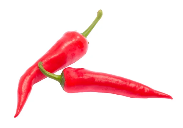 Két piros chili paprika — Stock Fotó
