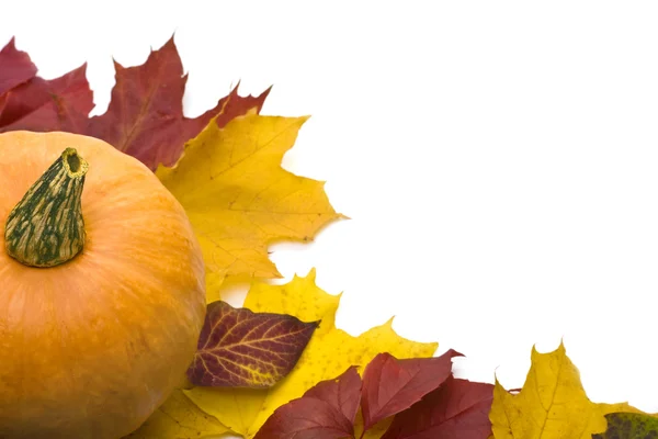 stock image Pumpkin and autumn leafs