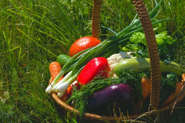 stock image Basket with vegetables