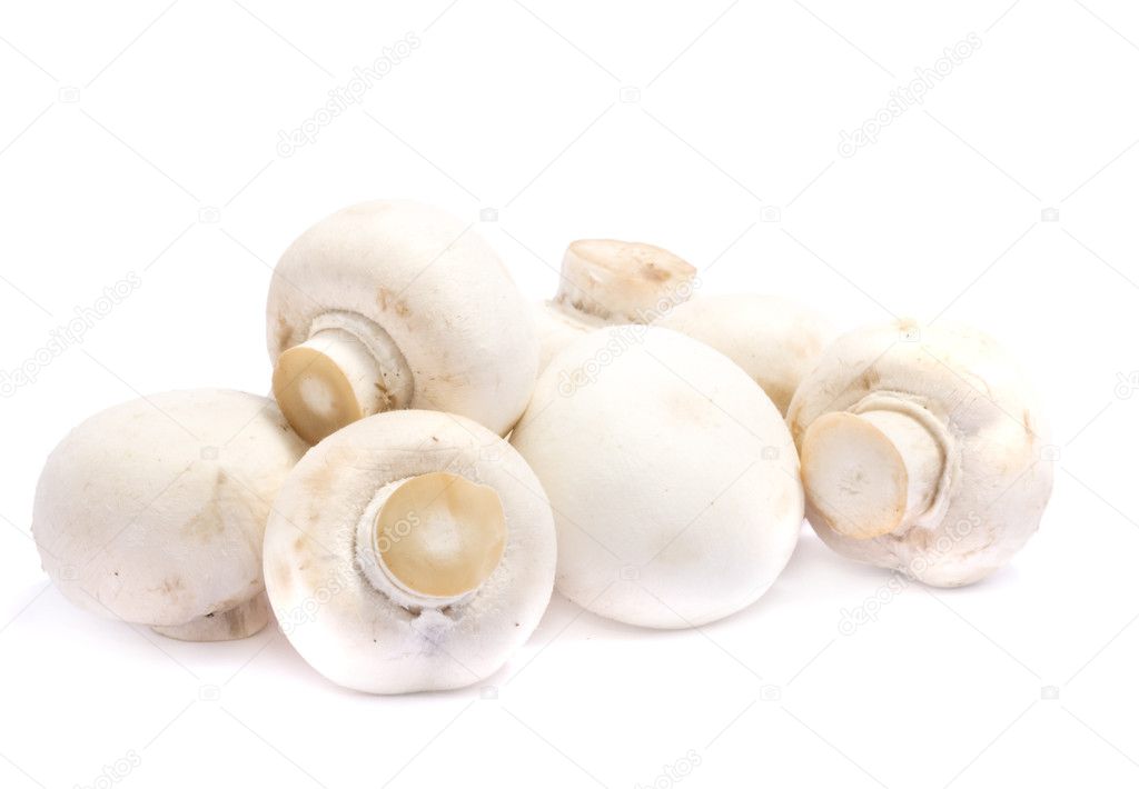 White mushrooms over white