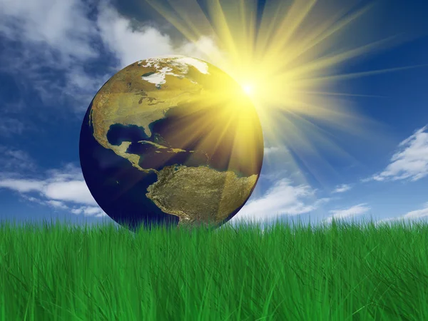 stock image Globe on grass