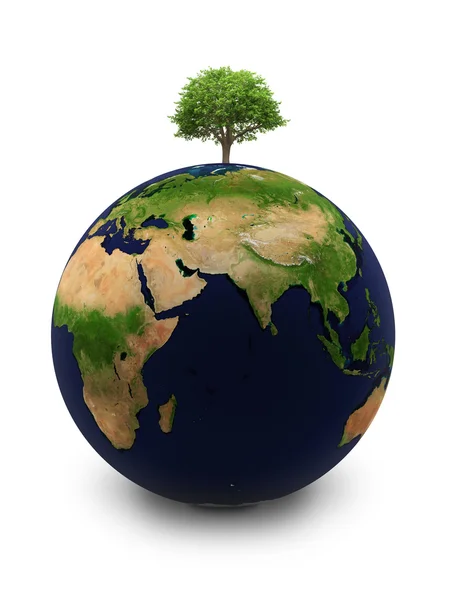 Jorden med ett träd — Stockfoto