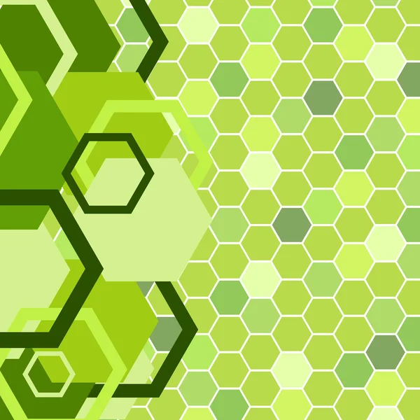Snygg grön banner. vektor illustratio — Stock vektor