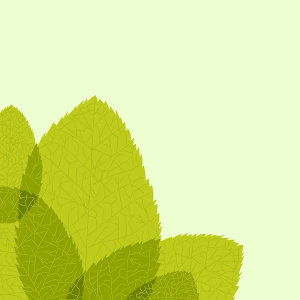 녹색 잎. 벡터 일러스트 — 스톡 벡터