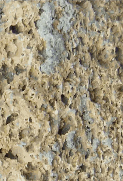 자연적인 돌의 구조 — 스톡 벡터