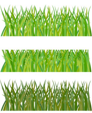 Set of grass. Vector illustration clipart