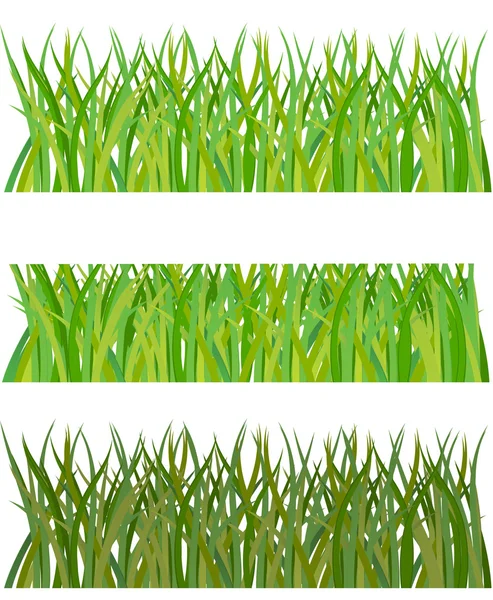 Ensemble d'herbe. Illustration vectorielle — Image vectorielle