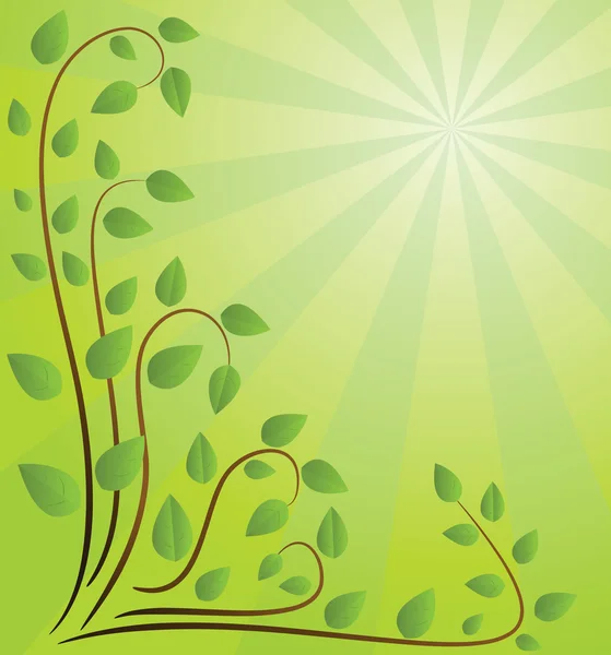 枝を持つ緑の背景 — ストックベクタ