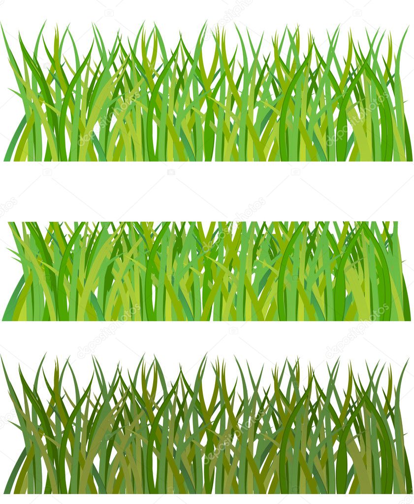 Set of grass. Vector illustration