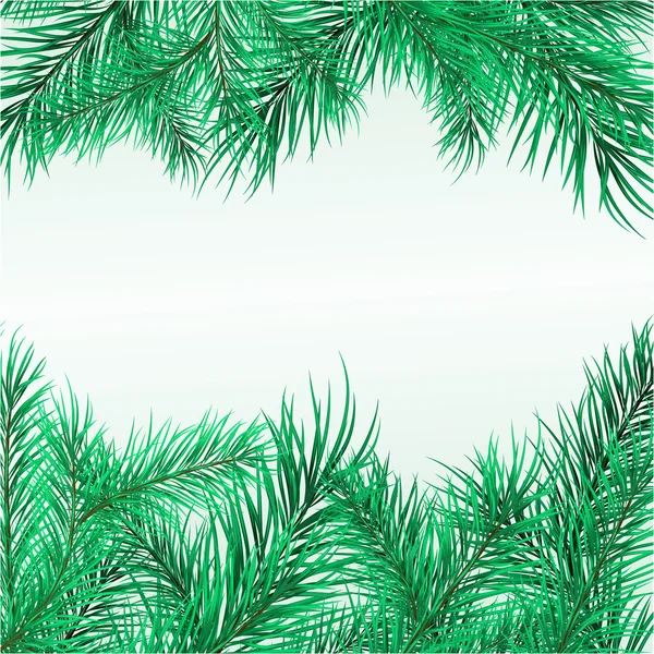 Cadre des branches de pin — Image vectorielle