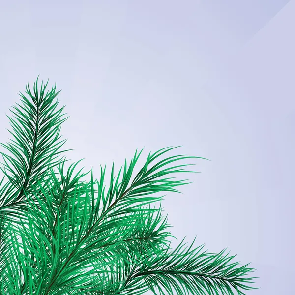 Marco de ramas de pino verde — Vector de stock
