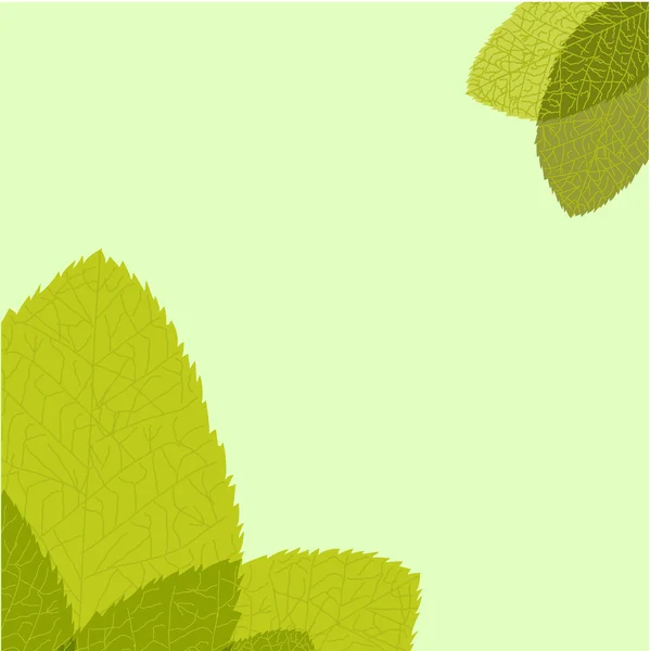 Grünes Blatt. Vektorillustration — Stockvektor