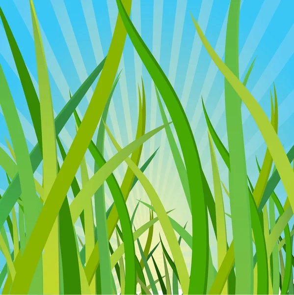Fondo ecológico con una hierba — Vector de stock