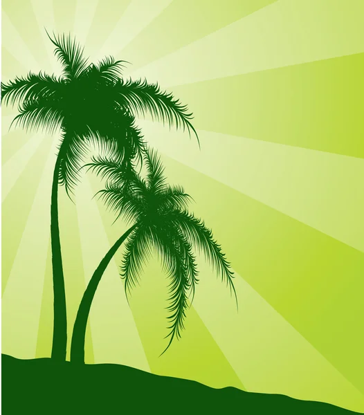 Fondo verde con palmeras — Archivo Imágenes Vectoriales