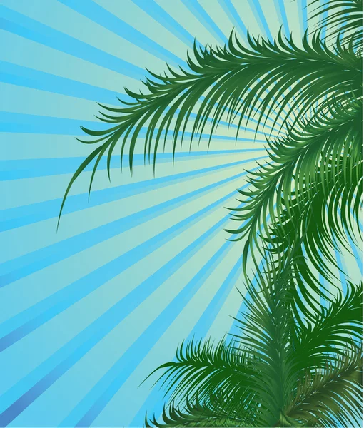 Zomer achtergrond met palm — Stockvector