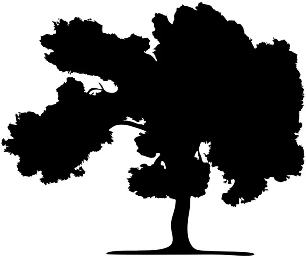Die Silhouette eines Baumes — Stockvektor