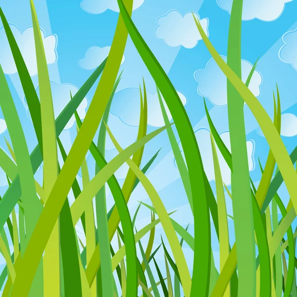 Ecological background with a grass — Stock Vector