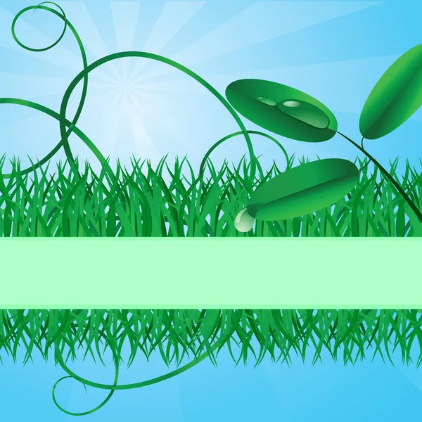 Bir çim ile ekolojik banner — Stok Vektör