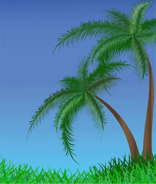 Zomer achtergrond met palmbomen — Stockvector
