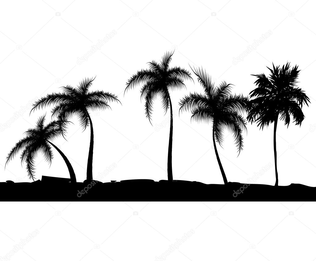 Summer background with palm