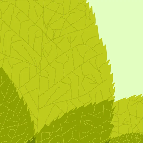 Grönt löv. vektor illustration — Stock vektor