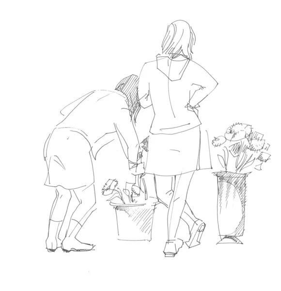 Boutique de fleurs — Photo